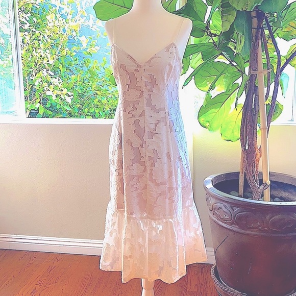 Tracy Reese Midi, Lace Dress - NWT - Picture 1 of 10